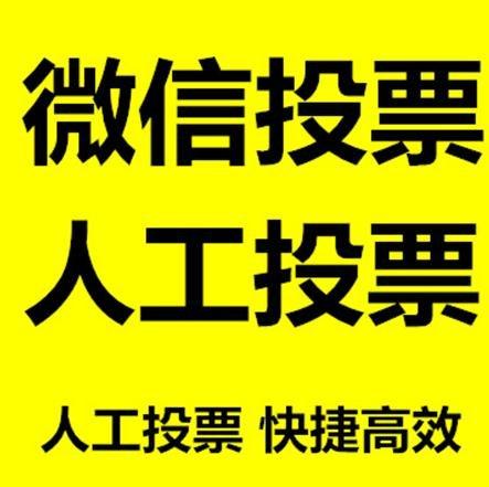自贡市投票活动拉票能被查出来吗？如何操作能不被发现？